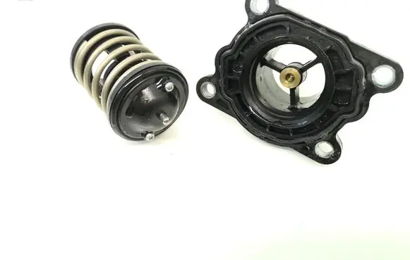 Thermostat/thermostat housing