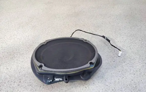 Front door speaker