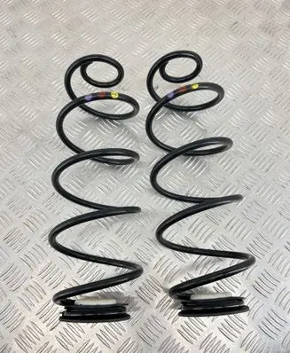 Rear coil spring