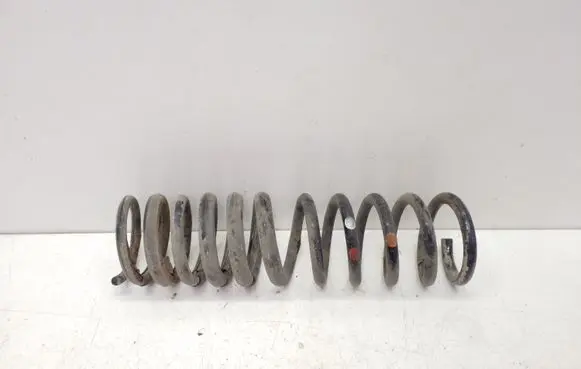 Ford Focus Rear coil spring