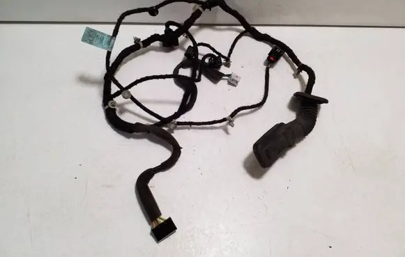 Chevrolet Orlando Front door wiring loom 95907207