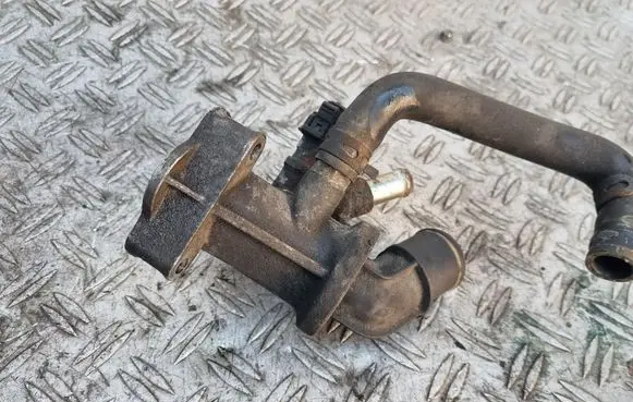 Thermostat/thermostat housing