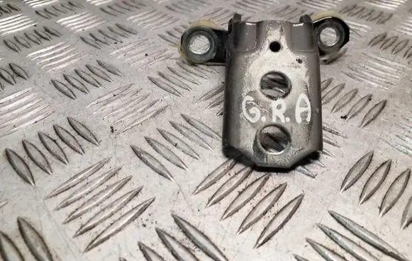 Nissan Juke I F15 Rear door lower hinge
