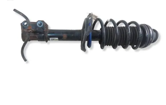 Opel Meriva B Front shock absorber with coil spring 13268957 22245142