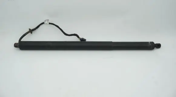 Tailgate/trunk strut/damper