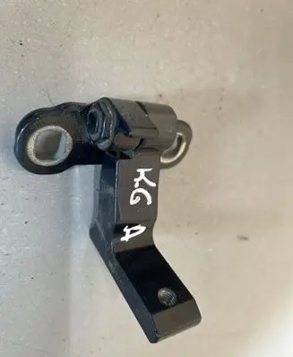 Rear door lower hinge