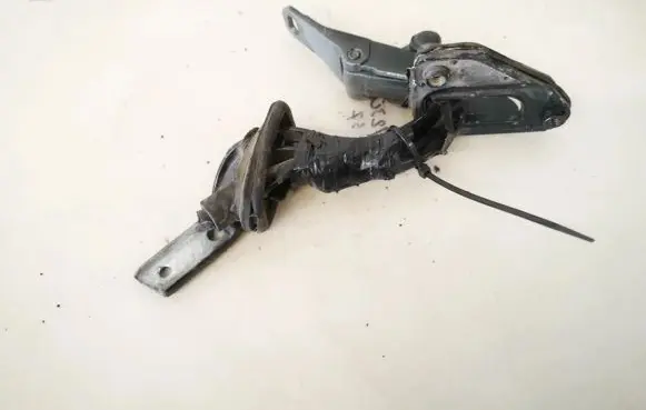 Tailgate/trunk/boot hinge