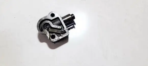 Ford Cougar Slide rail for timing chain 