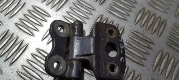 Rear door lower hinge