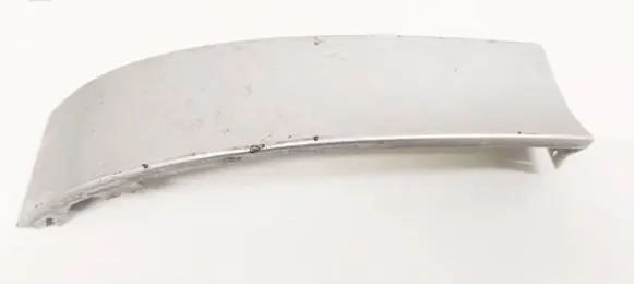 Rear/tail light trim molding