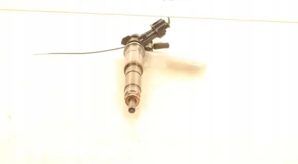 Renault Laguna III Fuel injector 0445115007