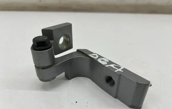 Rear door lower hinge