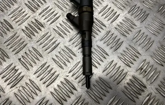 Peugeot 206 Fuel injector 9641742880