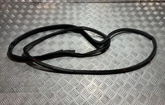 Nissan Juke II F16 Front door rubber seal PU20530