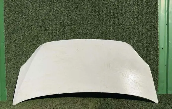 Engine bonnet/hood