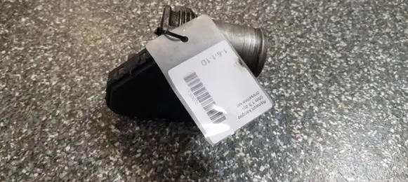 Renault Megane III Throttle valve