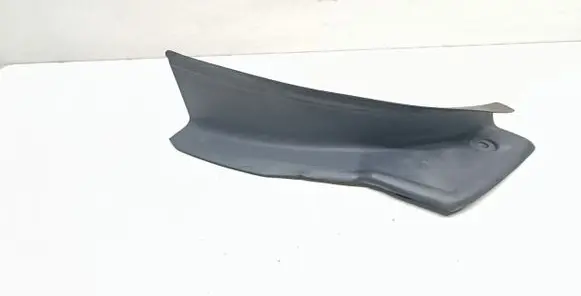 Rear/tail light trim molding