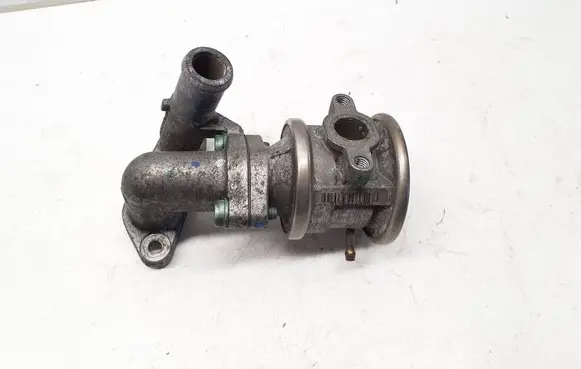 Volkswagen Touareg I EGR valve 066131101