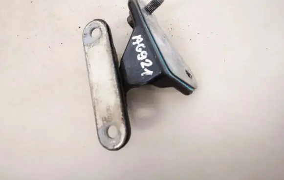 Mercedes-Benz R W251 Rear door lower hinge