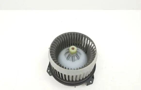 Heater fan/blower