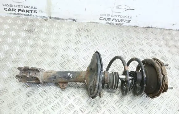 Toyota RAV 4 (XA20) Front shock absorber/damper