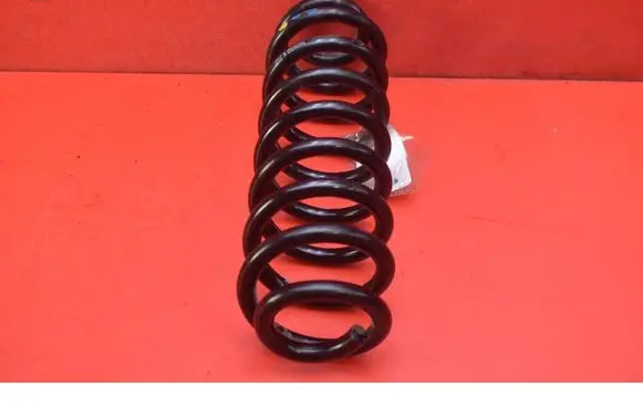 Dacia Spring Rear coil spring 