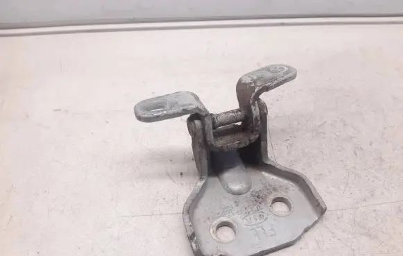 KIA Sorento Front door lower hinge 