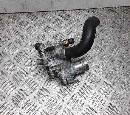 Thermostat/thermostat housing