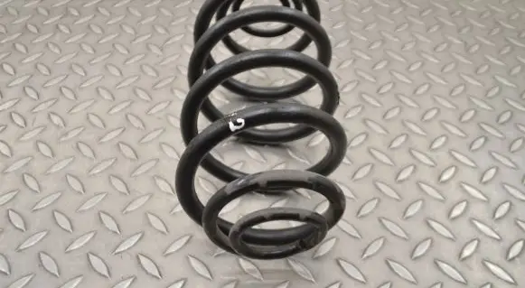 Rear coil spring