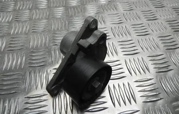 Renault Laguna III Timing belt tensioner 117507568R VD10303