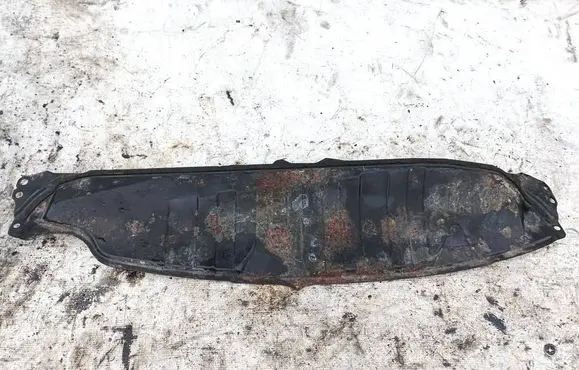 Honda Civic Windshield trim 
