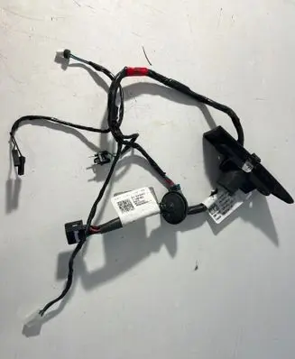 Chevrolet Corvette C8 Front door wiring loom 84851136 22966003G8 L00620