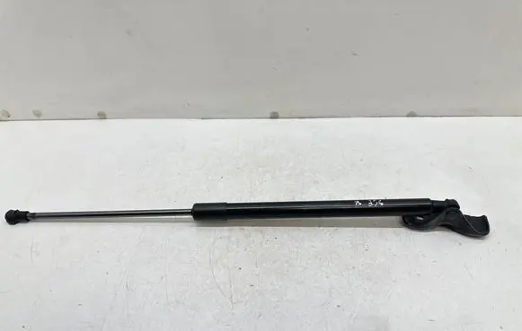 Renault Scenic IV - Grand scenic IV Tailgate strut 904509745R