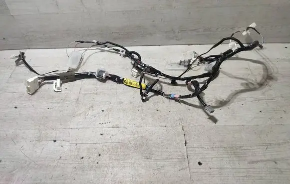 Other wiring loom