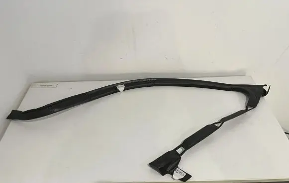 BMW X5 E70 Rubber seal front door window/glass 7137002