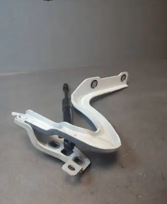 Tesla Model Y Engine bonnet/hood hinges 169257600A