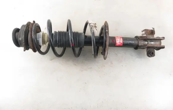 Fiat Punto (188) Front shock absorber with coil spring 