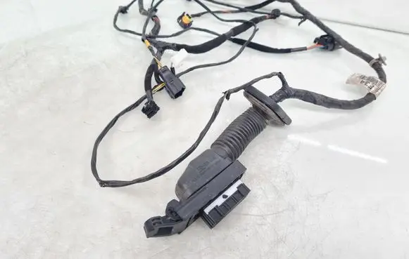 Front door wiring loom