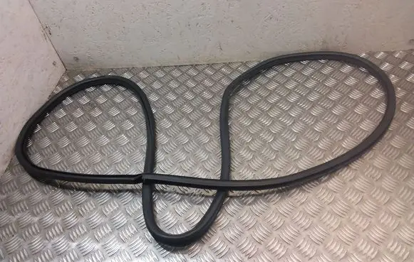 Lexus RX 450H Front door rubber seal