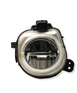 BMW X5 F15 Front fog light 7317252 7560200001 A9731725210