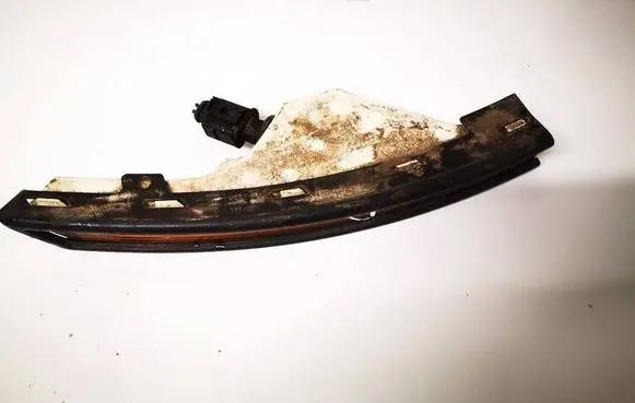 Volkswagen PASSAT B6 Front indicator light 3c0953042p