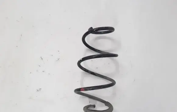 Renault Zoe Front coil spring 540107003R