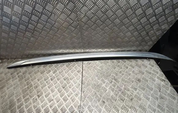 BMW X1 E84 Roof bar rail 100J000902400