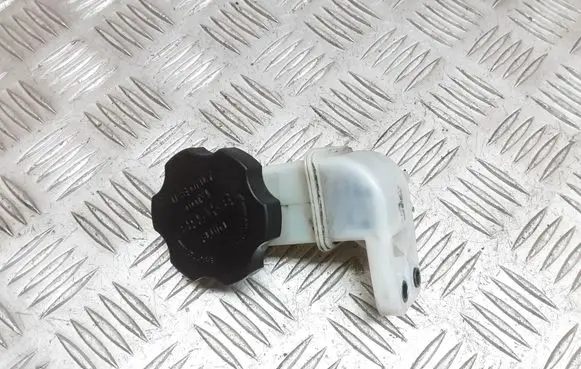 Chevrolet Captiva Brake fluid reservoir 