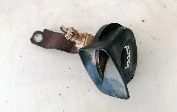 Renault Scenic I Horn signal e20091001