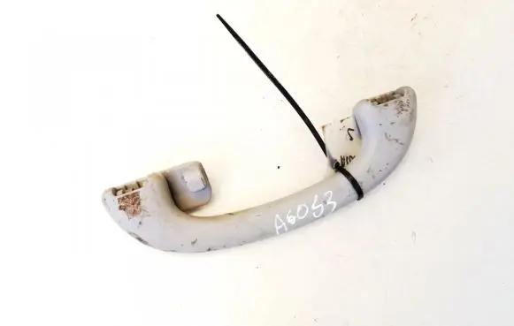 Ford Focus Rear interior roof grab handle