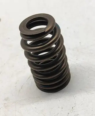 Dodge Challenger Valve spring 5037382BC
