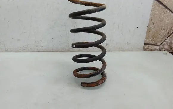 Rear coil spring