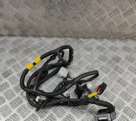 Tesla Model Y Other wiring loom 248905901A