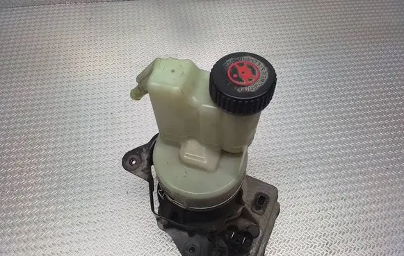 Opel Movano B Power steering pump 491101612R